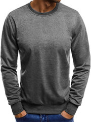 Tumši pelēks vīriešu džemperis &quot;Global&quot; cena un informācija | Vīriešu jakas | 220.lv