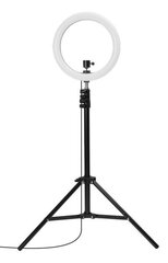 Gredzena lampa GadgetMonster GDM-1023 cena un informācija | Apgaismojums fotografēšanai | 220.lv