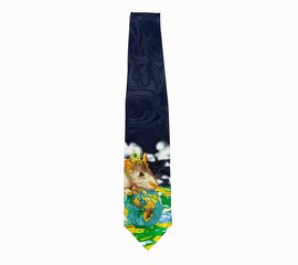 Vīriešu kaklasaite cena un informācija | Kaklasaites, tauriņi | 220.lv