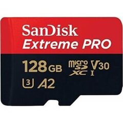 Atmiņas karte Secure Digital micro Extreme Pro 128GB 170MB / s A2 / V30 / UHS-I / U3 cena un informācija | Atmiņas kartes fotokamerām | 220.lv