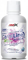 Amix Nutrition CarniLine ProActive 20 g, 480 ml cena un informācija | L-karnitīns | 220.lv