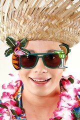 Havaju brilles cena un informācija | Karnevāla kostīmi, maskas un parūkas | 220.lv