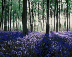 Gleznošanas komplekts pēc numuriem, 40x50 cm, &quot;Lavender Forest&quot; cena un informācija | Gleznas pēc numuriem | 220.lv