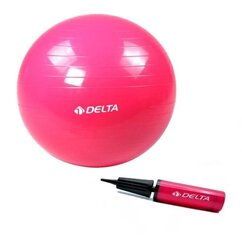 Vingrošanas bumba Delta FS ar pumpi, 55 cm, rozā cena un informācija | Vingrošanas bumbas | 220.lv