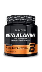 Biotech Beta Alanine 300 g. cena un informācija | Aminoskābes | 220.lv