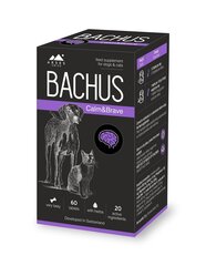 Barības piedeva Bachus Calm&Brave, 60 tabl. cena un informācija | Vitamīni, uztura bagātinātāji, pretparazītu līdzekļi suņiem | 220.lv