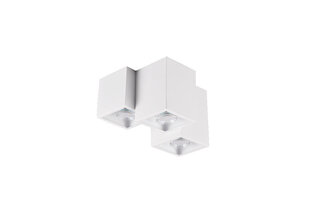 Griestu lampa Fernando, 3-daļīga, 3 x GU10, matēti balta cena un informācija | Griestu lampas | 220.lv