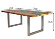 Pusdienu galds Tisch, 100x200 cm, antīks sudrabs cena