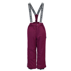 Huppa детские зимние штаны FREJA, бордовый 907143513 цена и информация | Зимняя одежда для детей | 220.lv