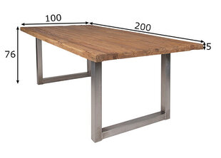 Ēdamistabas galds Tische, 200 x 100 cm, sudrabainas kājas cena un informācija | Ēdamistabas komplekti | 220.lv