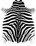 Vercai Rugs paklājs Nova Skin, ar zebras rakstu – dažādi izmēri