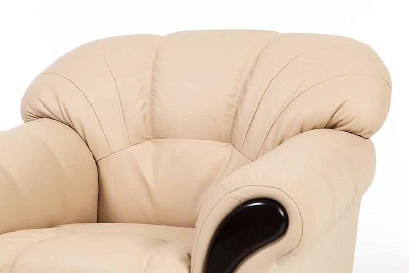 Atzveltnes krēsls Rosa, pārklāts ar audumu internetā