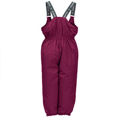 Huppa детские зимние штаны FUNNY, бордовый  907143480 цена и информация | Зимняя одежда для детей | 220.lv