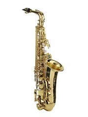 Saksofons Stewart Ellis SE-910-L cena un informācija | Pūšamie instrumenti | 220.lv