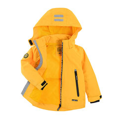 Cool Club куртка для мальчиков, COB2310170 цена и информация | Куртки для мальчиков | 220.lv