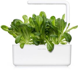 Click & Grow gudrā augu dārza uzpilde Romiešu salāti 3gb. cena un informācija | Diedzēšanas trauki | 220.lv