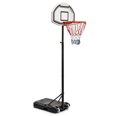 Basketbola statīvs Meteor Boston 18 cena un informācija | Basketbola statīvi | 220.lv