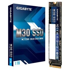 Gigabyte GP-GM301TB-G cena un informācija | Iekšējie cietie diski (HDD, SSD, Hybrid) | 220.lv