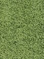 Narma bārkšu paklājs SPICE, zaļā krāsā - dažādi izmēri, 300 x 400 cm