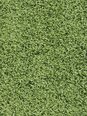 Narma bārkšu paklājs SPICE, zaļā krāsā - dažādi izmēri, 80 x 160 cm