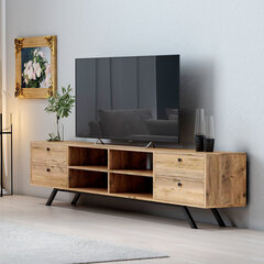 TV galdiņš Kalune Design Beta Ventura 4, brūns cena un informācija | TV galdiņi | 220.lv