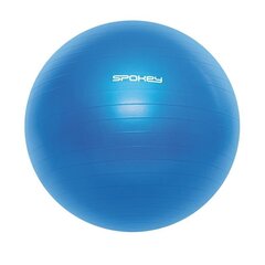 Vingrošanas bumba Fitball, 55 cm, zila cena un informācija | Vingrošanas bumbas | 220.lv