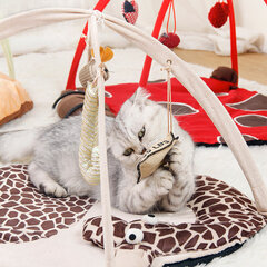 NORE rotaļu paklājiņš kaķiem TIGER cena un informācija | Rotaļlietas kaķiem | 220.lv