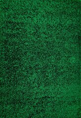 Paklājs Shaggy Bottle Green, 160 x 200 cm cena un informācija | Paklāji | 220.lv
