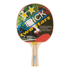 Pingponga rakete Atipick RQP40400 Iesācēji cena un informācija | Galda tenisa raketes, somas un komplekti | 220.lv