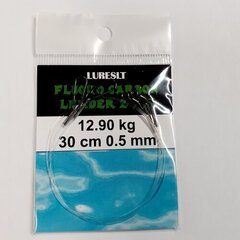 Pavadiņa Fluoracarbon 30cm 0.5mm cena un informācija | Citi makšķerēšanas piederumi | 220.lv
