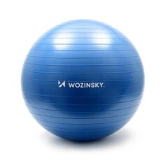 Wozinsky Gymnastic ball 65cm blue cena un informācija | Vingrošanas bumbas | 220.lv