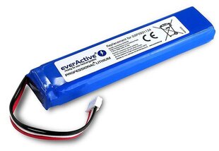 Uzlādējama baterija everActive EVB100 ar bluetooth skaļruni JBL Xtreme cena un informācija | Akumulatori fotokamerām | 220.lv