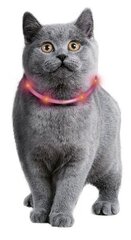 Kakla siksna Visio Light LED 20-35 cm cena un informācija | Pavadas, apkakles, siksnas kaķiem | 220.lv