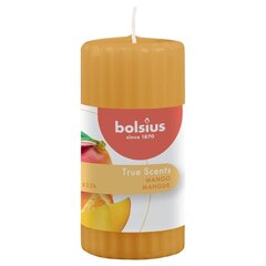 Bolsius aromātiskās sveces True Scents, 6 gab., 120x58 mm, mango cena un informācija | Sveces un svečturi | 220.lv