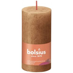 Bolsius cilindriskas sveces Shine, 8 gab., 100x50 mm, brūnas cena un informācija | Sveces un svečturi | 220.lv