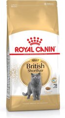 Royal Canin British shorthair 4 kg cena un informācija | Sausā barība kaķiem | 220.lv