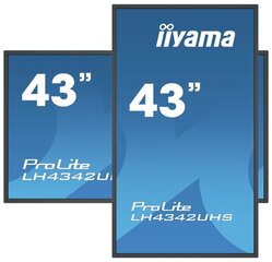 iiyama LH4342UHS-B3, 43'' cena un informācija | Televizori | 220.lv