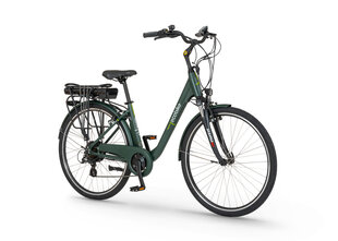 Elektriskais velosipēds Ecobike Traffic 28", 13 Ah, zaļš cena un informācija | Elektrovelosipēdi | 220.lv