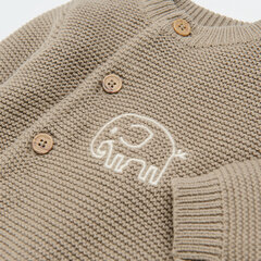 Cool Club džemperis zēniem, CNB2400791 cena un informācija | Džemperi, vestes, jaciņas zīdaiņiem | 220.lv