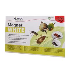 Mini MAGNET white (20X12 cm) – ābolu un plūmju zāģlapseņu, aveņu vaboļu lamatas, 20 gab cena un informācija | Augu kopšanas līdzekļi | 220.lv