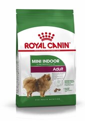 ROYAL CANIN pārsvarā dzīvo mājās Mini indoor Adult, 1,5 kg cena un informācija | Sausā barība suņiem | 220.lv