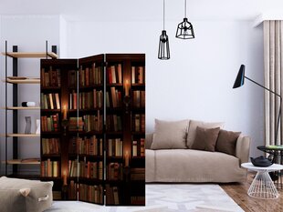 3-daļīgs aizslietnis - Bookshelves [Room Dividers] cena un informācija | Aizslietņi | 220.lv