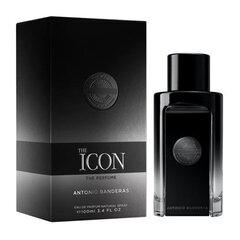 Parfimērijas ūdens Antonio Banderas The Icon EDP vīriešiem 100 ml cena un informācija | Vīriešu smaržas | 220.lv