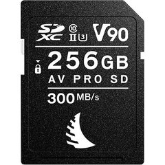 Angelbird AVP256SDMK2V90 cena un informācija | Atmiņas kartes fotokamerām | 220.lv