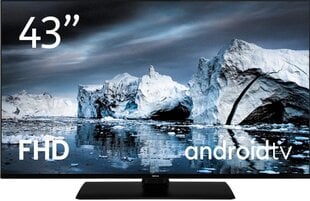 Nokia 43” FHD Android Smart TV (2022) cena un informācija | Televizori | 220.lv
