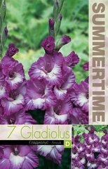 Lielziedu gladiolas Anouk, 7 gab. cena un informācija | Sīpolpuķes | 220.lv