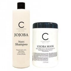 Matu šampūna un maskas komplekts JOJOBA 1000+1000ml cena un informācija | Šampūni | 220.lv