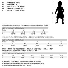 Peldkostīms Bērniem Nike 4 Volley Short: Krāsa - Zils cena un informācija | Peldšorti, peldbikses | 220.lv
