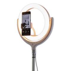 Selfiju statīvs ar LED gredzenveida lampu 4smarts LoomiPod cena un informācija | Apgaismojums fotografēšanai | 220.lv