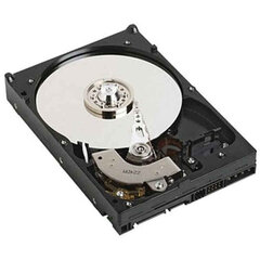 Cietais disks Dell NPOS 3,5" 1 TB 7200 rpm cena un informācija | Ārējie cietie diski | 220.lv